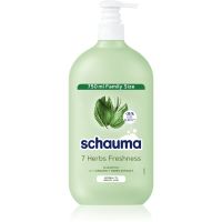 Schwarzkopf Schauma 7 Herbs билков шампоан за нормална към омазняваща се коса 750 мл.