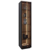 Dieter Knoll VITRÍNA, dub, antracitová, farba duba, 45,8/198,6/40 cm