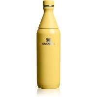 Stanley All Day Slim Bottle пляшка для води з неіржавної сталі Daffodil Gloss 600 мл