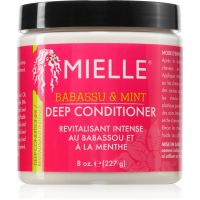 Mielle Babassu & Mint nährender Conditioner mit Tiefenwirkung 227 g