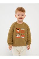 LC Waikiki Lw - Crew Neck Long Sleeve Baby Boy Sweatshirt