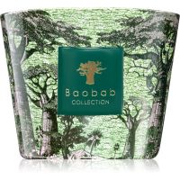 Baobab Collection Sacred Trees Touba aроматична свічка 500 гр