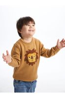 LC Waikiki Lw - Crew Neck Long Sleeve Patterned Baby Boy Knitwear Sweater