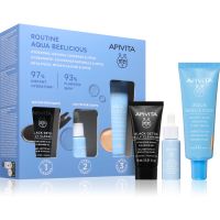 Apivita Aqua Beelicious Hydrating & Natural Coverage Routine Set Set für hydratisierte und strahlende Haut