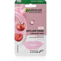 Garnier Skin Naturals Lips Replump Mask maska za zapolnitev gub za ustnice 5 g