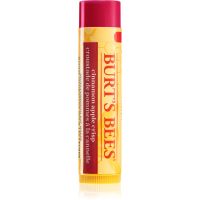 Burt’s Bees Festive Cinnamon Apple Crisp balsam de buze 4.25 g