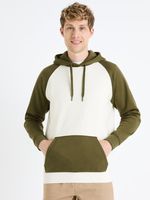 Celio Feblocos Sweatshirt Grün