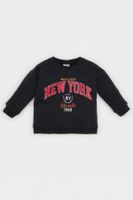 DEFACTO Baby Boy Crew Neck Printed Soft Furry Sweatshirt