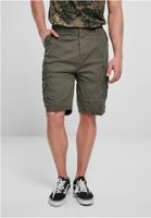 Do you Shorts Olive?