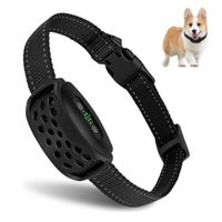 Reedog V2 | Ugatásgátló nyakörv