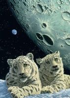 Schim Schimmel - Lair of the Snow Leopard - puzzle z kategorie Umělecké