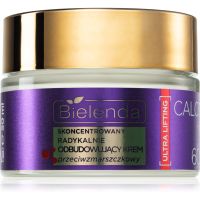 Bielenda Calcium + Q10 Concentrated radically rebuilding anti-wrinkle cream for day 60+ Straffende Anti-Falten-Tagescreme 50 ml