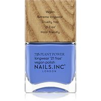 Nails Inc. Vegan Nail Polish dlouhotrvající lak na nehty odstín Soul Surfing 14 ml