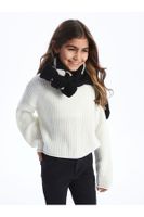 LC Waikiki Lw - Crew Neck Long Sleeve Girl's Knitwear Sweater