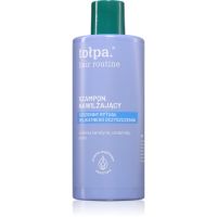 Tołpa Hair Routine vlažilni šampon 300 ml