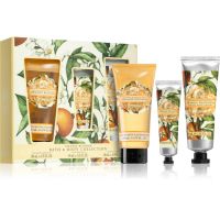 The Somerset Toiletry Co. Bath & Body Collection darčeková sada na telo Orange Blossom