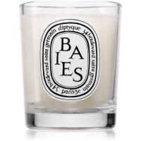 Diptyque Baies ароматна свещ 70 гр.