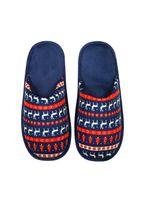 Men's Slippers Winter classic - Frogies