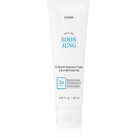 ETUDE SoonJung 2x Barrier Intensive Cream інтенсивний зволожуючий крем відновлюючий бар’єр шкіри 60 мл