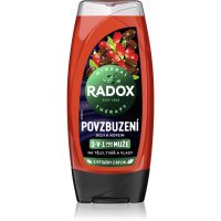 Radox Men Invigorating Duschgel für Herren 3in1 225 ml