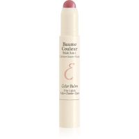 Embryolisse Artist Secret machiaj multifuncțional pentru ochi, buze și față culoare Nude pink 2.5 g