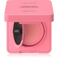 Catrice Cloud Tint Cushion Blush руж с гъба цвят C020 Over the Blush 4 гр.