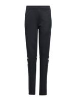 ADIDAS PERFORMANCE Sportske hlače 'Squadra 25'  crna / bijela