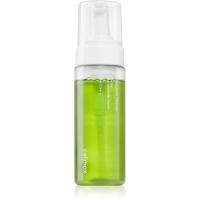 celimax The Real Noni čisticí pěna vyrovnávající tvorbu kožního mazu pro mastnou a smíšenou pleť 155 ml
