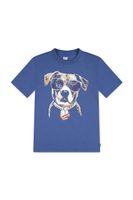 Levi's Detské tričko Levi's PATRIOTIC PUP TEE