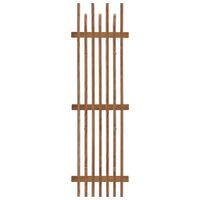 VEŠIAKOVÝ PANEL, dub, 40/135/11 cm