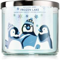 Bath & Body Works Frozen Lake ароматна свещ IV. 411 гр.