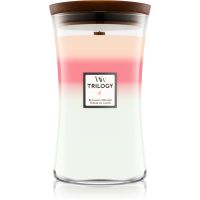 Woodwick Trilogy Blooming Orchard ароматна свещ 609,5 гр.