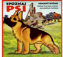 Psi - Ladislav Csurma, Miroslav Dobrucký - kniha z kategorie Pro děti