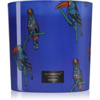 Vila Hermanos Jungletopia Rain Forest świeczka zapachowa 1450 g