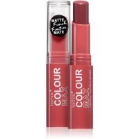 Technic Cosmetics Colour Max ruj mat culoare Kiss Catch 3.5 g