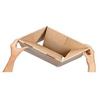 20 x Kartonová krabice 250x200x150mm, automatické dno, hnědá, klopová, třívrstvá vlnitá lepenka (3VVL) RAJA