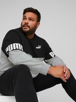 Puma Sweatshirt Grau