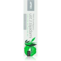 Apteo Balsam for the care Salbe für Lippen 10 g