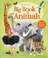 Big Book Of Animals - Hazel Maskell - kniha z kategorie Naučné knihy