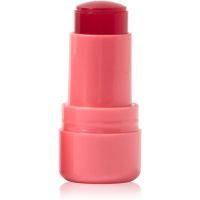 Technic Cosmetics Jelly Tint Blush Stick für Unterwegs für Lippen und Wangen Farbton Peach Fizz 9 g