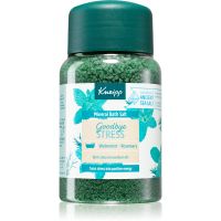 Kneipp Goodbye Stress sol za kupku 500 g