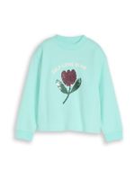 TOM TAILOR Sweater majica  menta / crvena