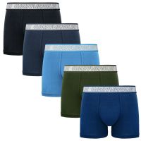 5PACK men's boxers Gianvaglia multicolored