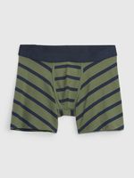 GAP Boxer-Shorts Grün