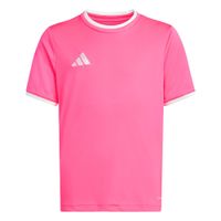 ADIDAS PERFORMANCE Tehnička sportska majica 'Entrada26'  roza