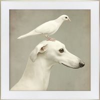 Obraz Dog And Dove 70X70