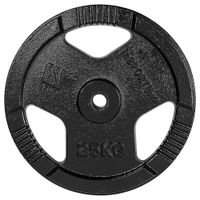 Litinový kotouč inSPORTline Hamerton Black 25 kg 30 mm