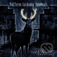 Pattern-Seeking Animals: Only Passing Through Lld.