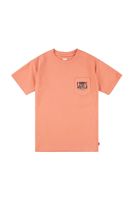 Detské tričko Levi's CANYON LANDSCAPE TEE