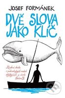 Dvě slova jako klíč (Laskavá kniha o podivuhodných osudech dotýkajících se života Teodora D.) - kniha z kategorie Společenská beletrie